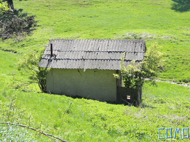 DSCN2035