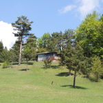DSCN2051