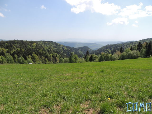 DSCN2052