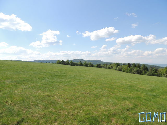 DSCN2091