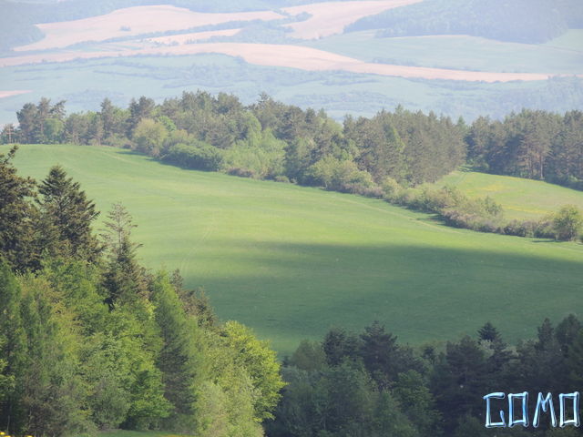 DSCN2101