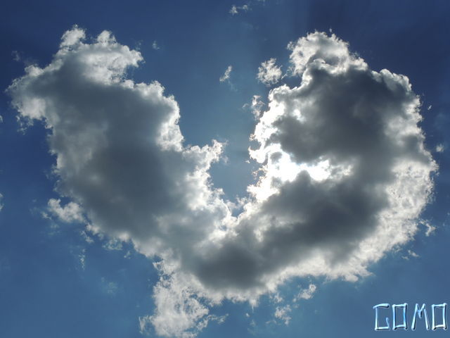 DSCN2110