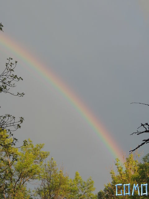 DSCN2373