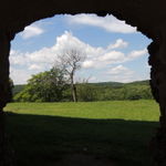 DSCN2954