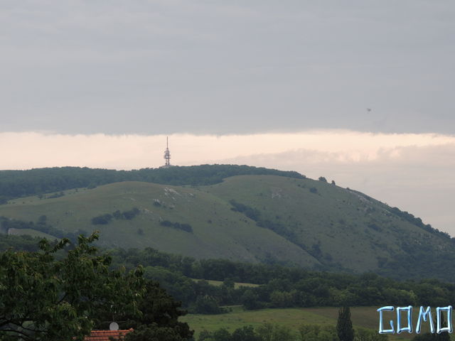 DSCN3133