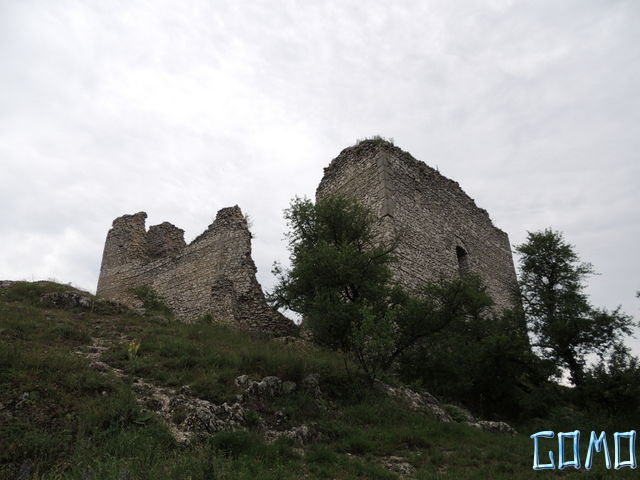 DSCN3144