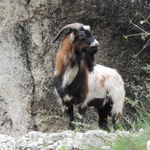 DSCN3207