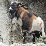 DSCN3209