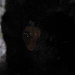 IMG_5297