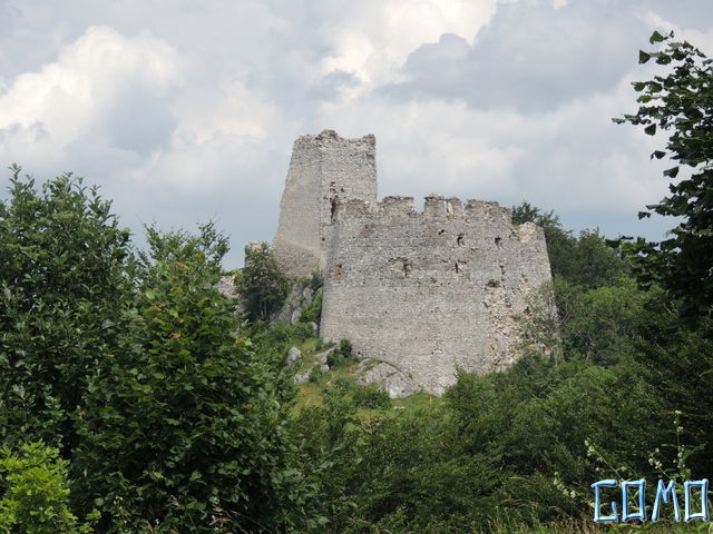 DSCN4105