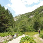 DSCN4721