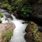 DSCN4734