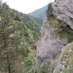 DSCN4773
