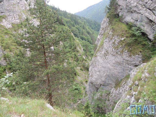 DSCN4774