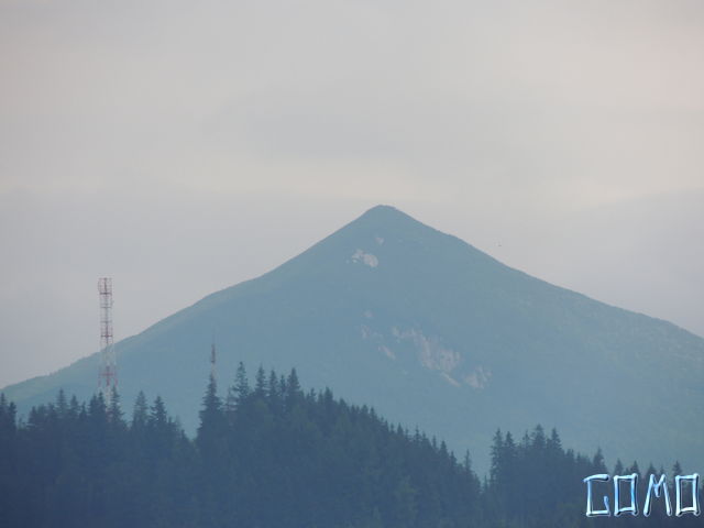 DSCN4795