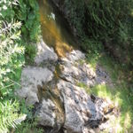DSCN4818
