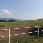 DSCN5208
