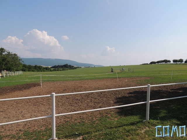DSCN5208