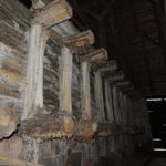 DSCN5283