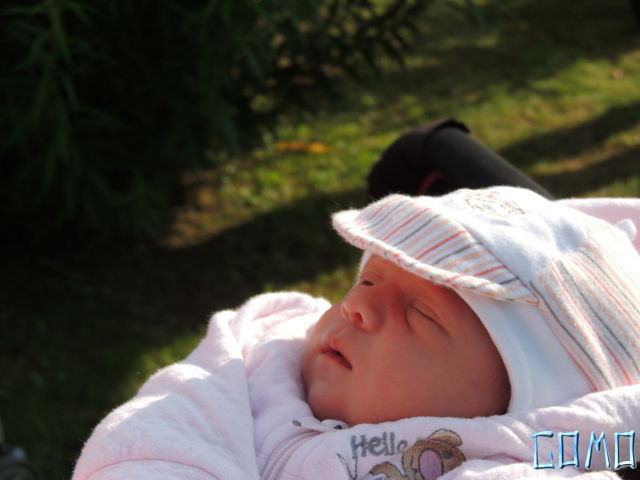 DSCN5340