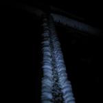 IMG_7453