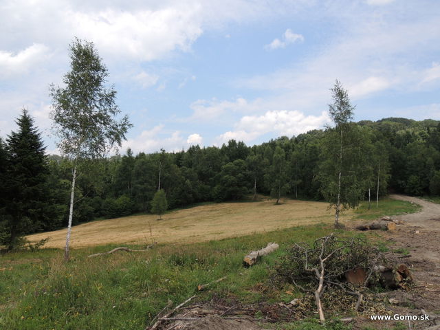 DSCN5483