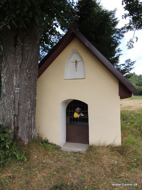 DSCN5484