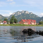 DSCN5931