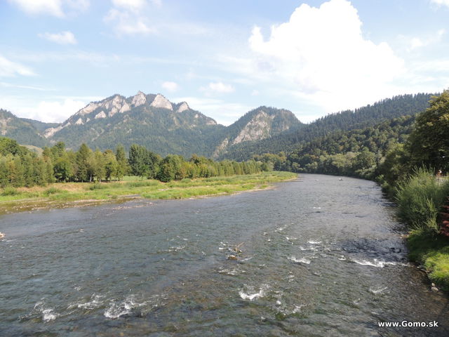 DSCN5932