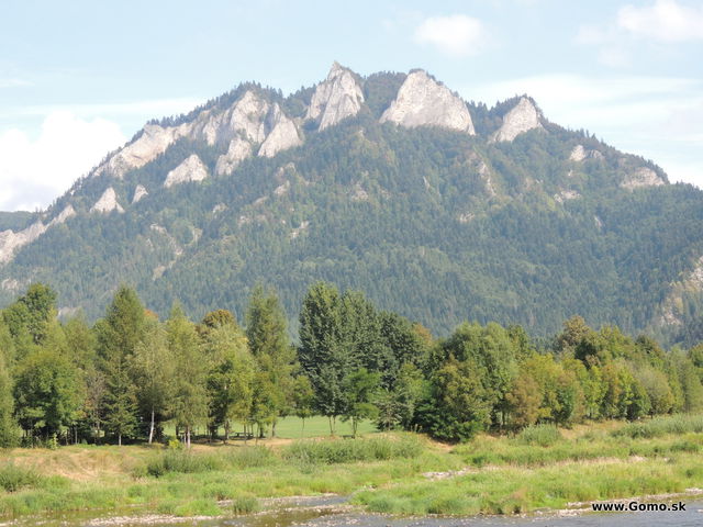DSCN5933