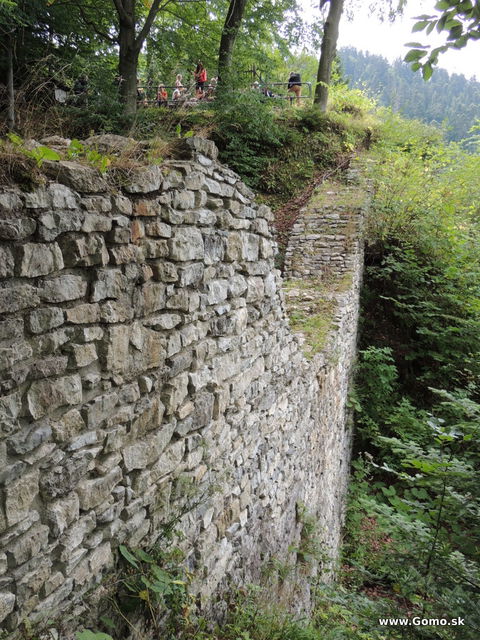 DSCN5961