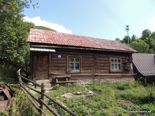 DSCN6106