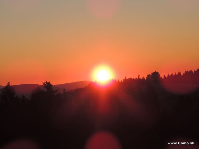 DSCN8419