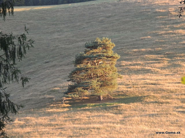 DSCN8555