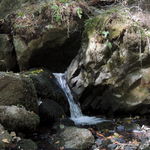 DSCN8615