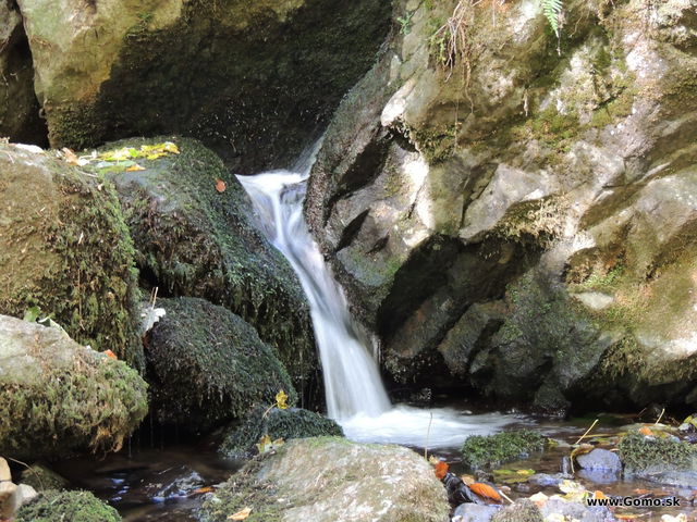 DSCN8619