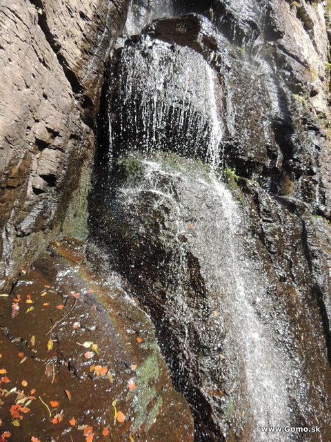 DSCN8636