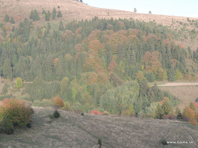 DSCN8736