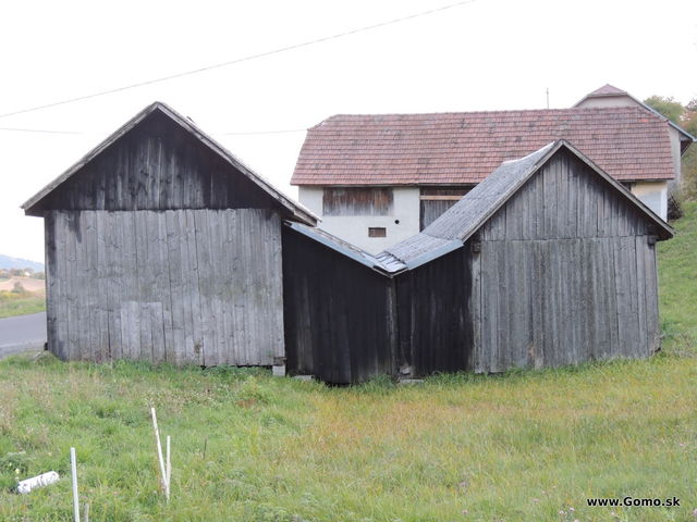 DSCN8742