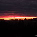 DSCN8752