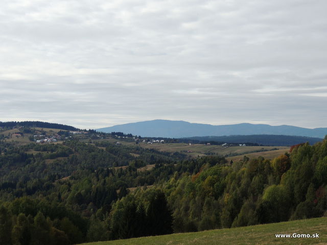 DSCN8847
