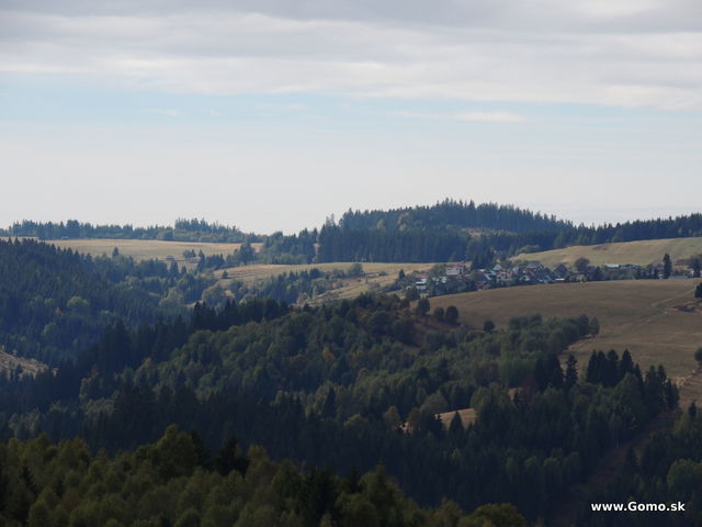 DSCN8848
