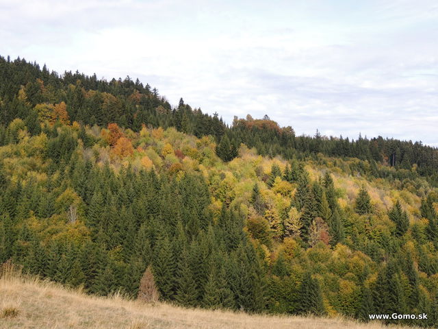 DSCN8849