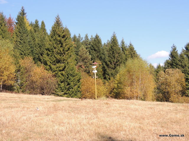 DSCN9043