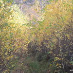 DSCN9273