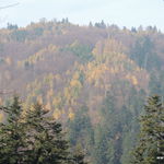 DSCN9275