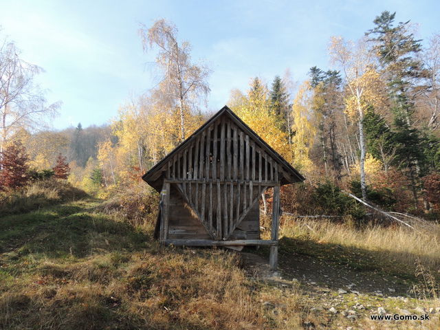 DSCN9279
