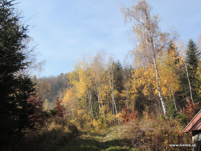 DSCN9282
