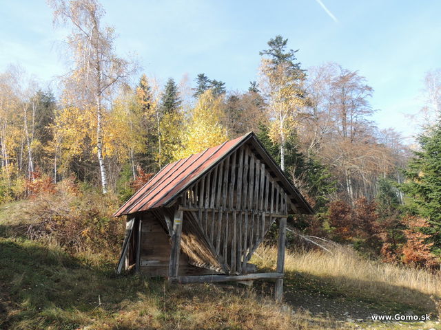 DSCN9283