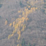DSCN9289